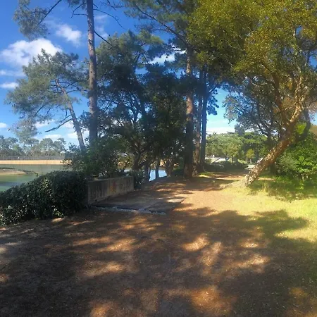 公寓 Hossegor Jardin T3 索尔特奥瑟戈尔