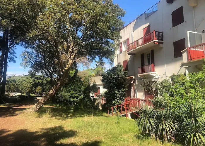 Apartment Hossegor Jardin T3 *